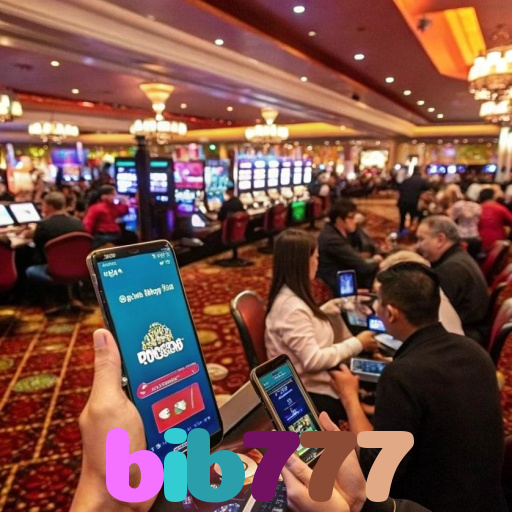 bib777