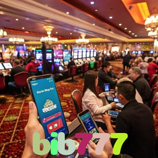 bib777
