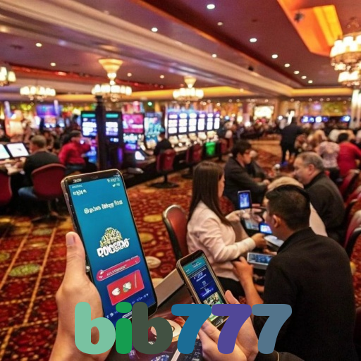 bib777